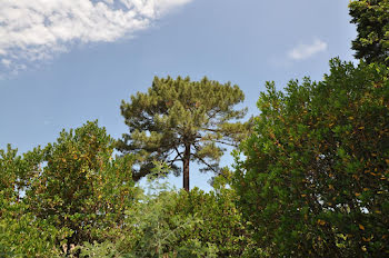 villa à Arcachon (33)