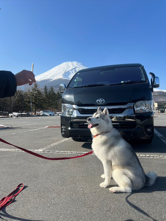 の投稿画像1枚目