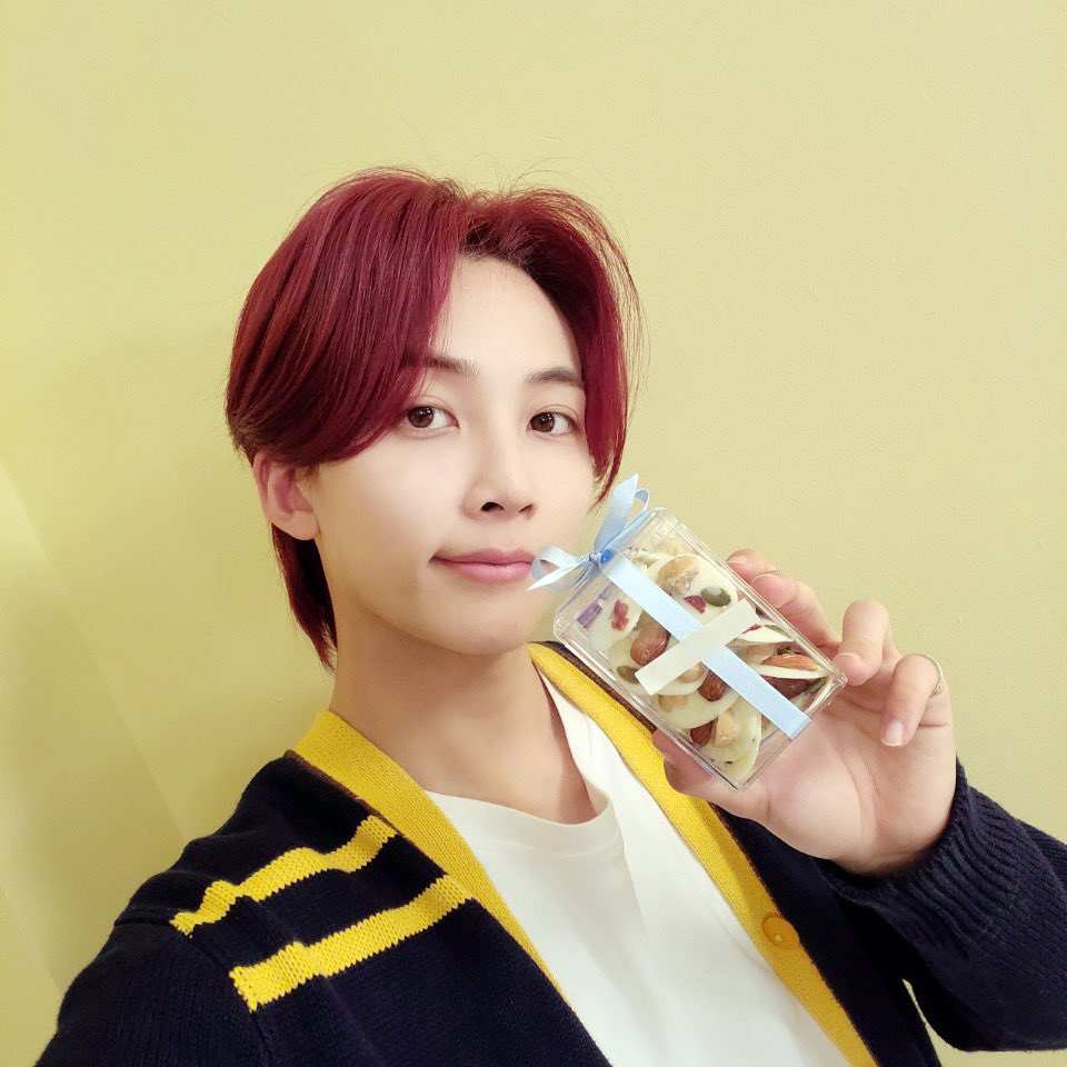 SEVENTEEN's Jeonghan Answered All The Fan Questions About His Pet Rock ...