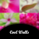 Download Cool Walls For PC Windows and Mac 1.0