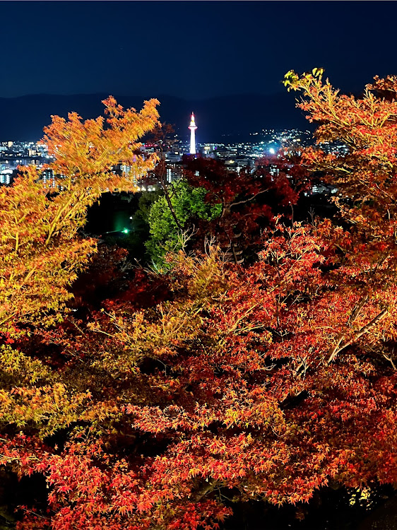 ハリアーの滋賀から京都へ紅葉🍁写活に関するカスタム事例の投稿画像8枚目