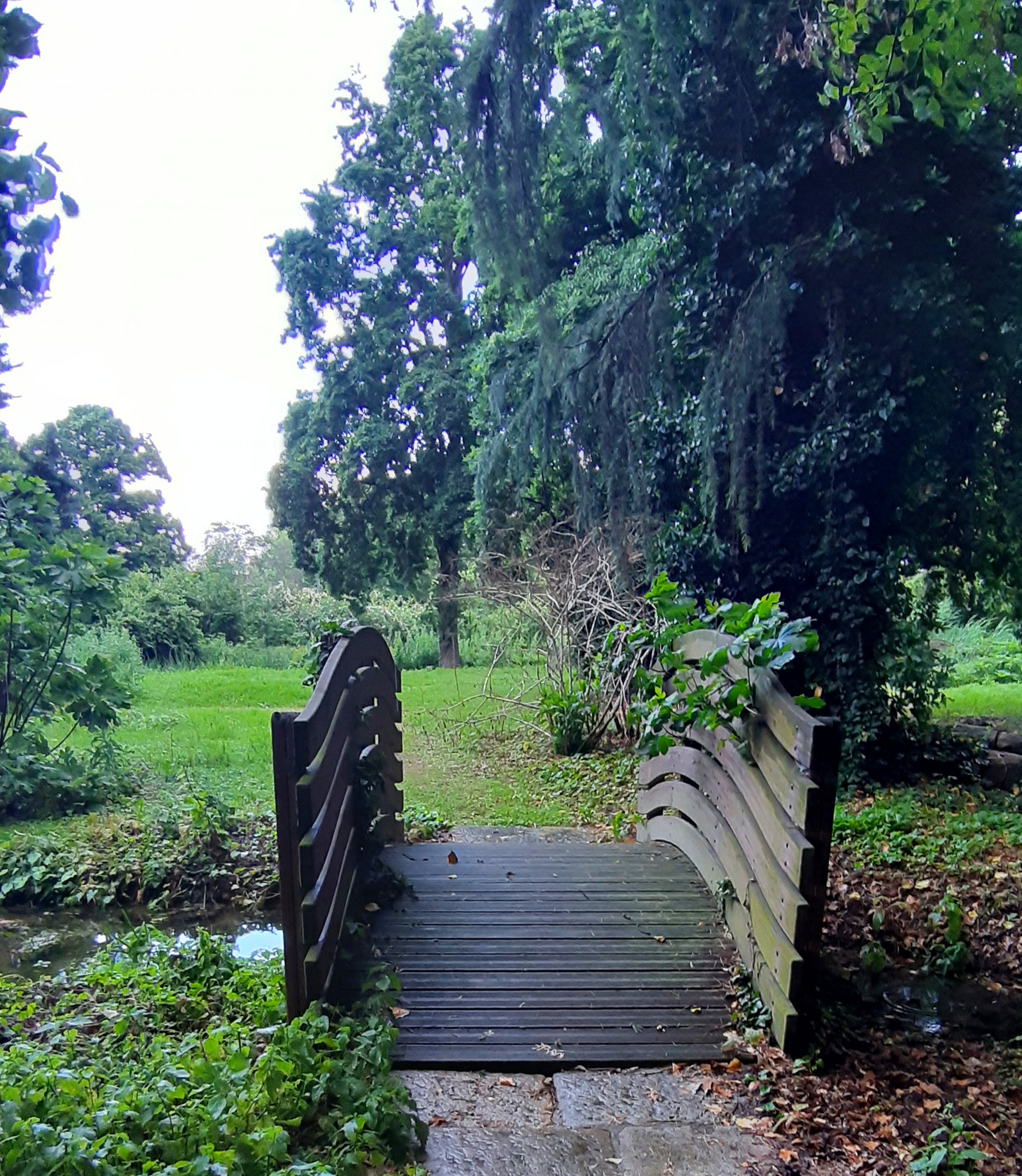 passaggio nel verde di lialia