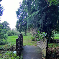 passaggio nel verde di 