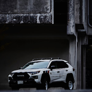 RAV4 MXAA54