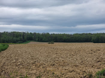 terrain à Carspach (68)