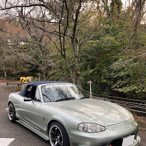 ロードスター NB8C