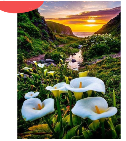 miniatures image - 4