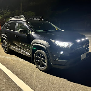 RAV4 MXAA54