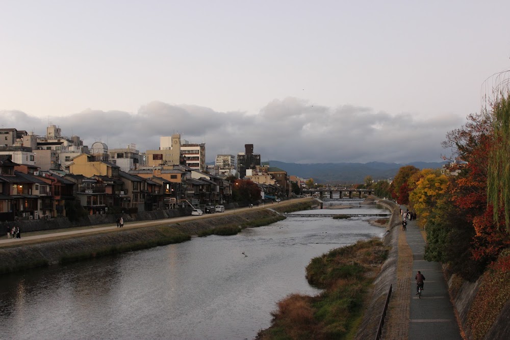 В поисках осенних красок. Киото и Осака. Ноябрь 2019г.