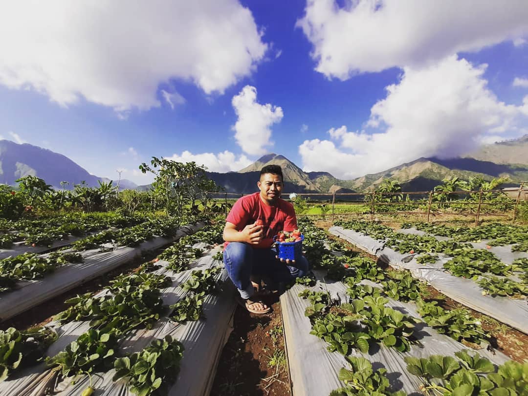 taman nasional gunung rinjani