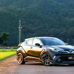 C-HR ZYX10