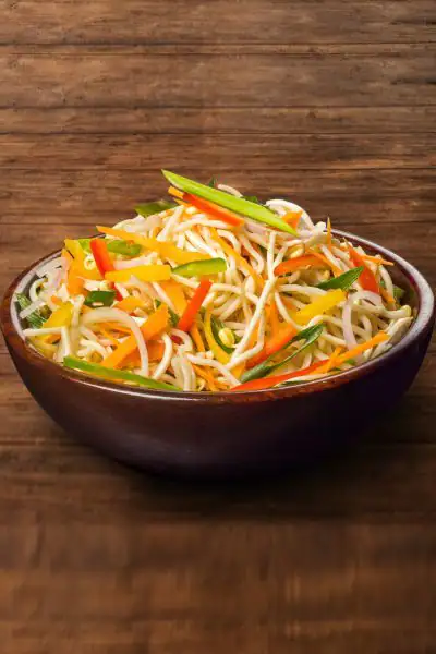 Veg Hakka Noodles Bowl