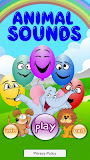 Animal Sounds