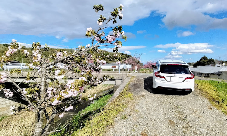 ジェイドの八重桜・長沼喜久田線に関するカスタム事例の投稿画像4枚目