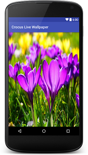 Crocus Live Wallpaper Free