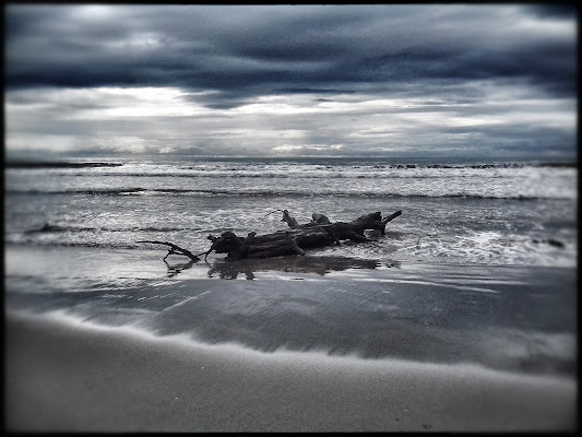 Il mare d'inverno di pattylane