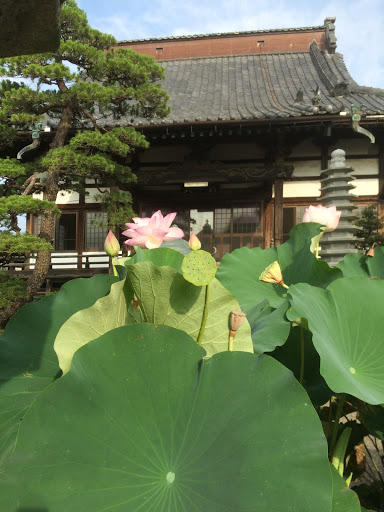 飯玉山荘厳寺