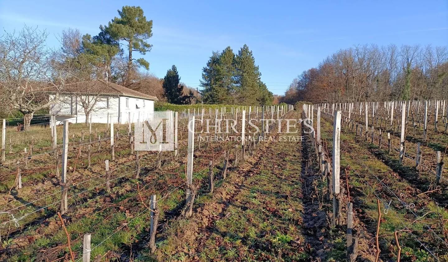 Vineyard Bayon-sur-Gironde