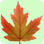 Québec Wildflowers Apk