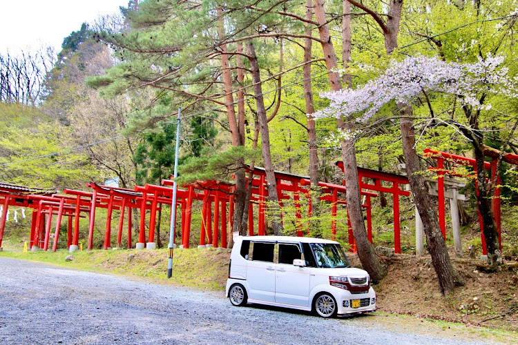 Nボックスカスタムの桜🌸2020・八重桜コラボ・八重枝垂れ桜コラボ・⛩コラボ・見晴らしの良い場所へに関するカスタム事例の投稿画像4枚目