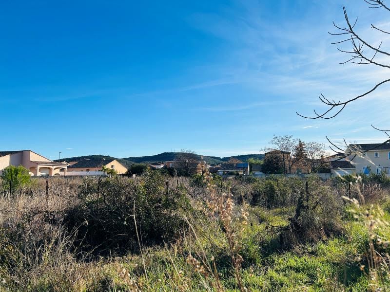 Vente terrain à batir  350 m² à Balaruc-le-Vieux (34540), 229 000 €