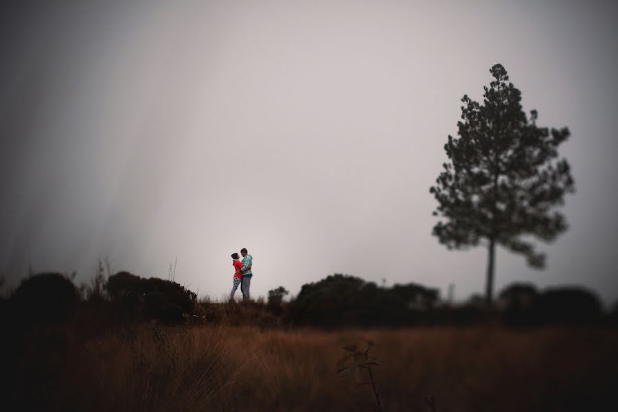 Wedding photographer Yuriy Meleshko (whitelight). Photo of 3 January 2014