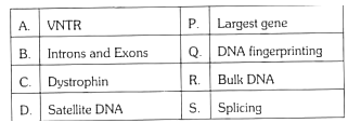 DNA Fingerprinting