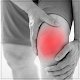 Knee Pain Exercises Download on Windows