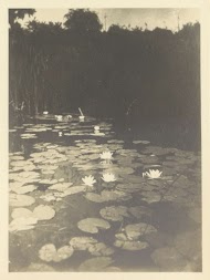 Vijver met lelies, vermoedelijk bij Schule Schloss Salem