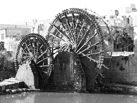 ruote ad acqua, hama, siria di antonioromei