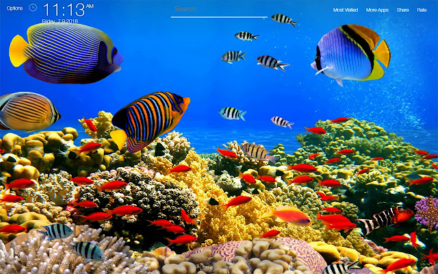 Underwater Wallpapers FullHD New Tab