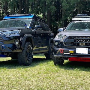 RAV4 MXAA54