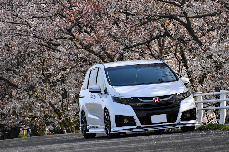 オデッセイの桜とコラボ🌸に関するカスタム事例の投稿画像1枚目