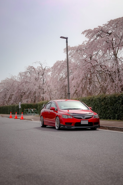 シビックの4月もよろしくお願い致します🌸・サクラと愛車・桜シーズン開幕・ドライブ・桜と愛車に関するカスタム事例の投稿画像4枚目