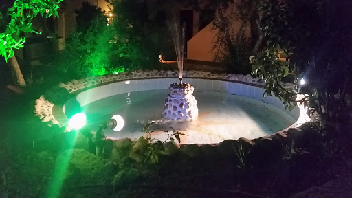 Enlightened Fountain