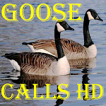 Goose Calls HD Apk