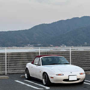 ロードスター NA8C