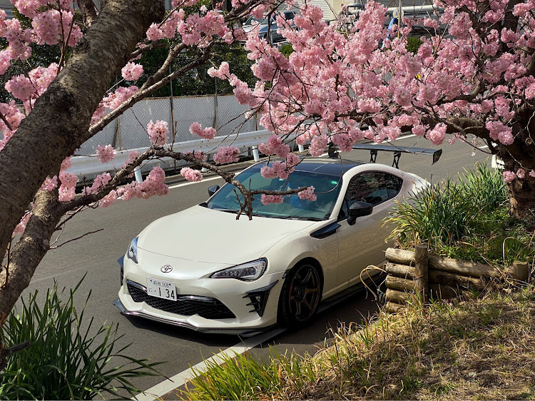 86の桜と愛車・内装カスタム・加工してポン・ニッパーでチョキチョキ・回れ経済に関するカスタム事例の投稿画像1枚目
