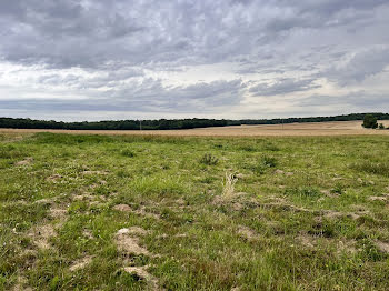 terrain à Villebougis (89)