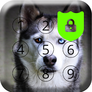 Download Husky Dog Lock Screen For PC Windows and Mac