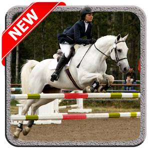 Horse Jump Show  Icon