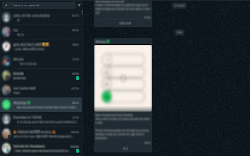 Whatsapp Privacy Protector