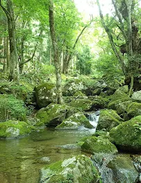 妖、人と関わるべからず