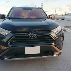RAV4 AXAH54