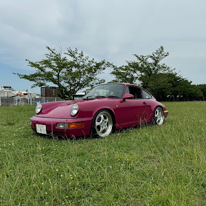 964 カレラ2