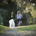 Little girl riding a bicycle