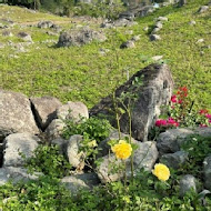 花藞藞玫瑰岩休閒農場