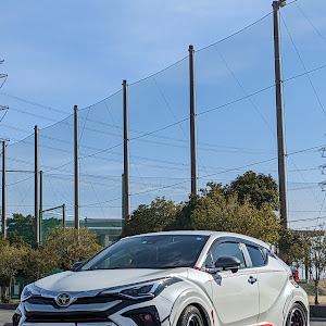 C-HR NGX10