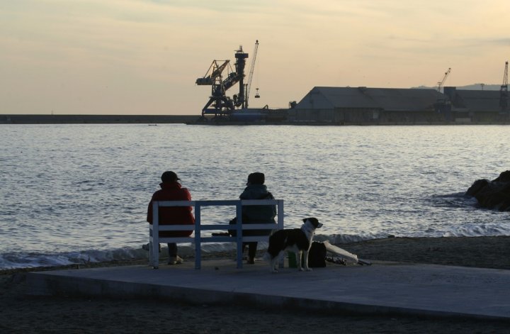 Contemplando il mare d'inverno di marmotta