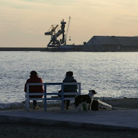 Contemplando il mare d'inverno di 